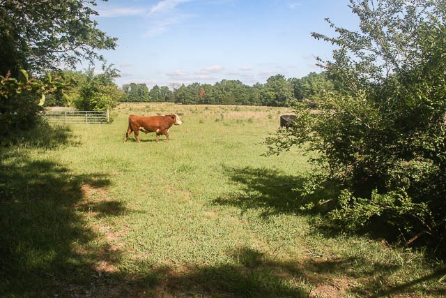 a view of lake with lots of green space