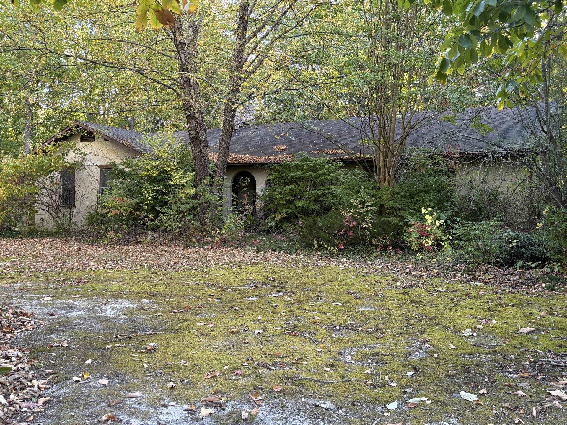 a backyard of a house with lots of green space