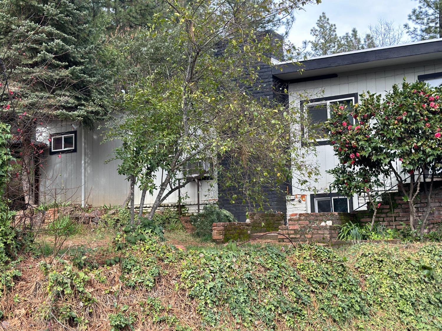 a backyard of a house with lots of green space