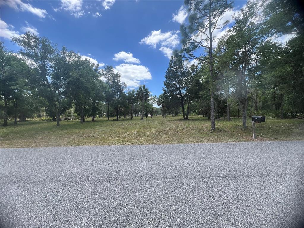 a view of a field with trees