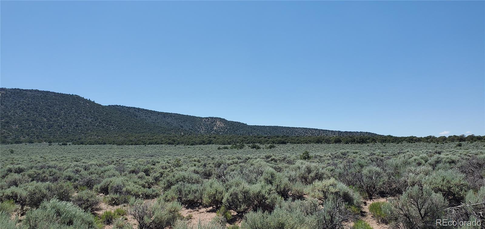 a view of a dry field with trees in the background