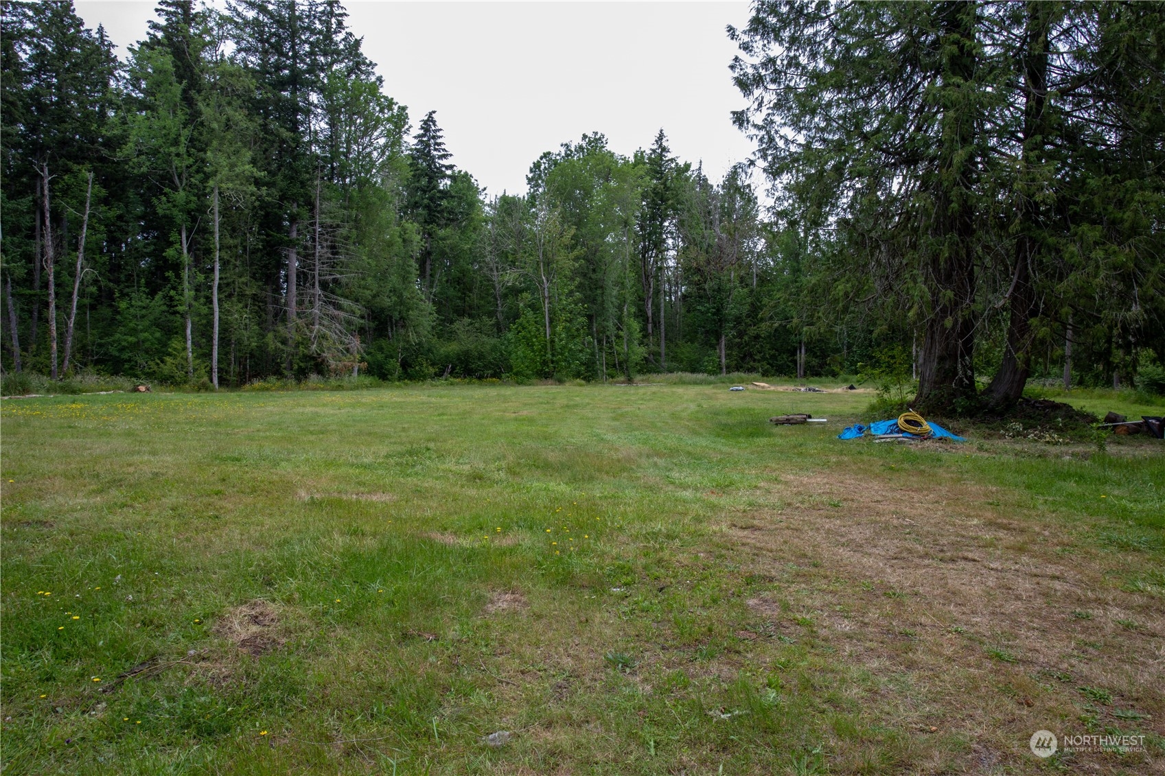 a view of outdoor space with trees all around