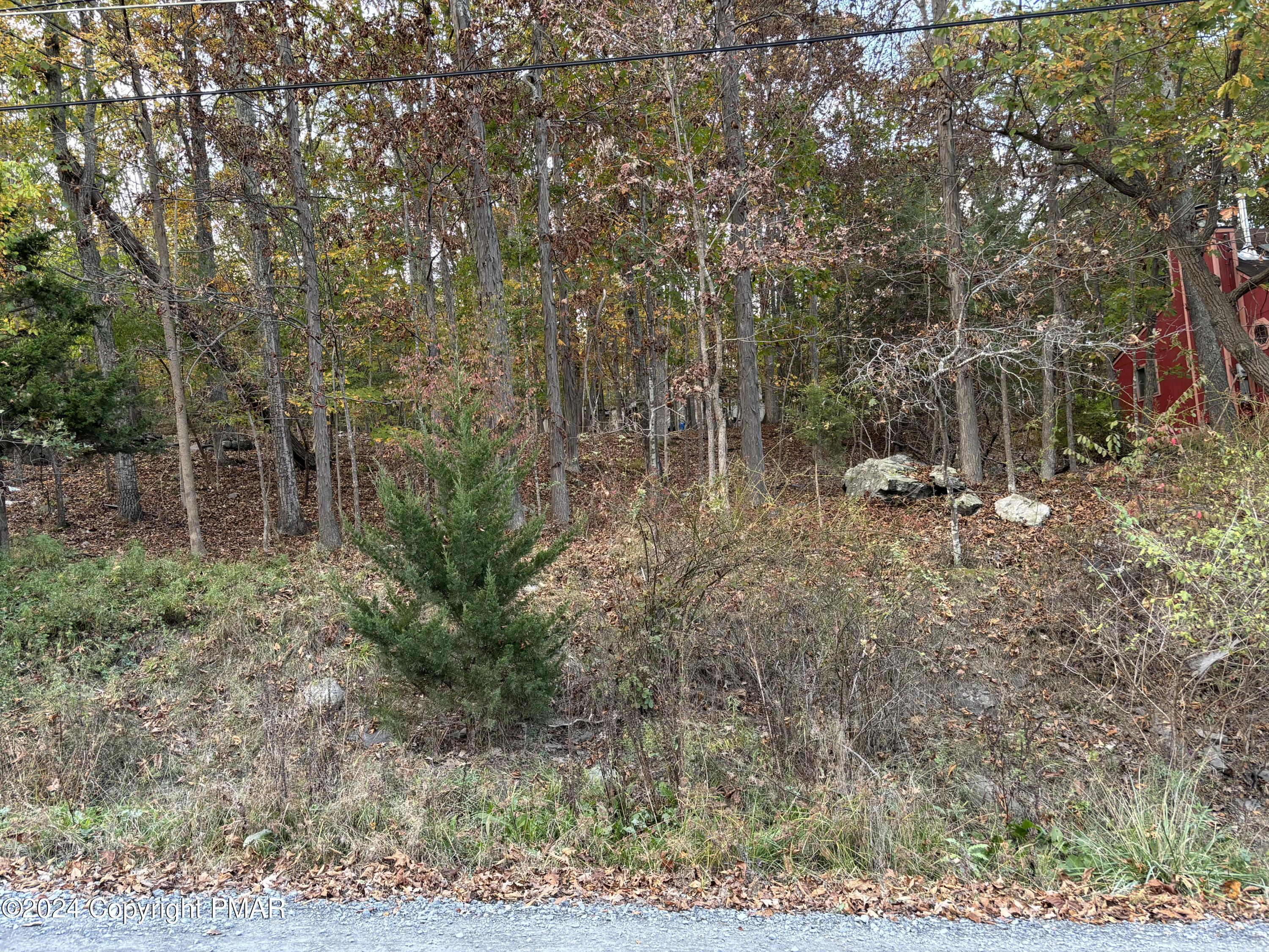 a view of a yard with large trees