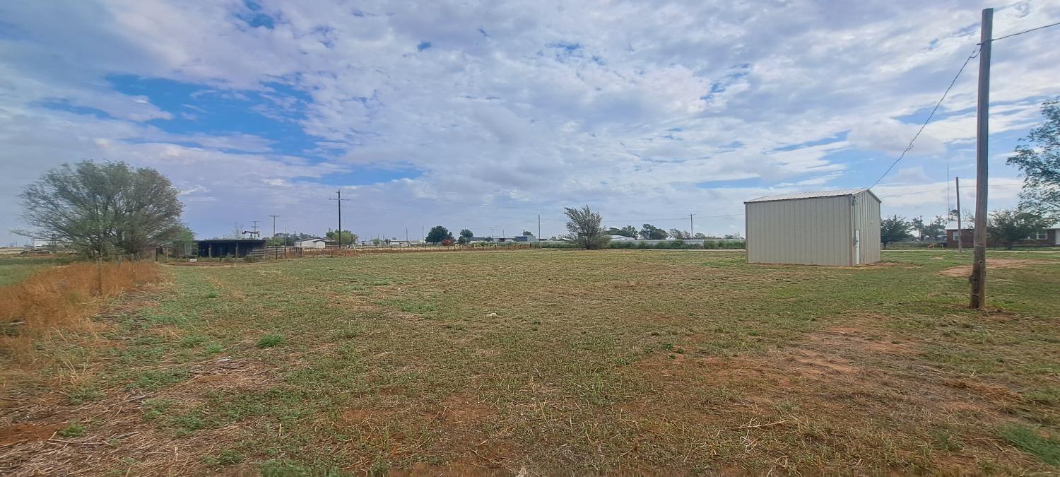 a view of a field with an ocean