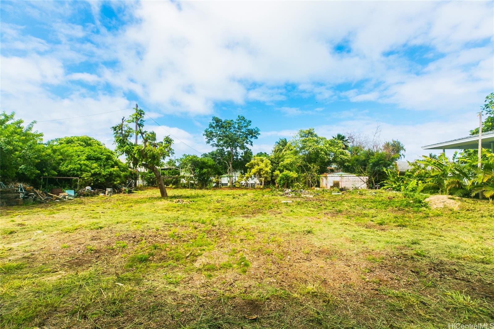 a view of an ocean from a yard