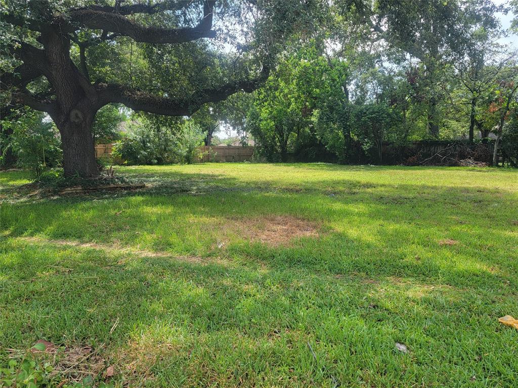 a view of garden with trees