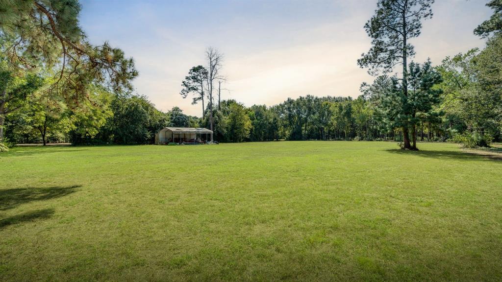 a view of a field with trees in the background