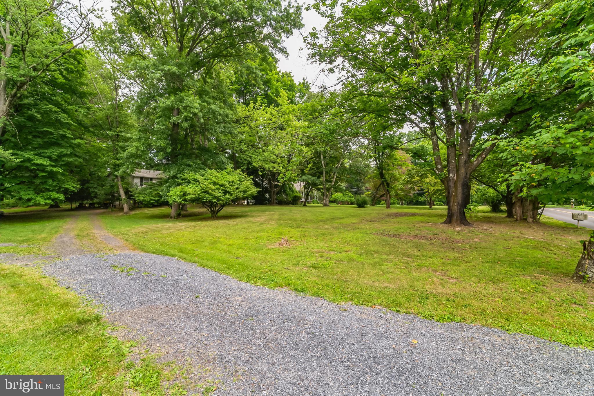 a view of a park with large trees