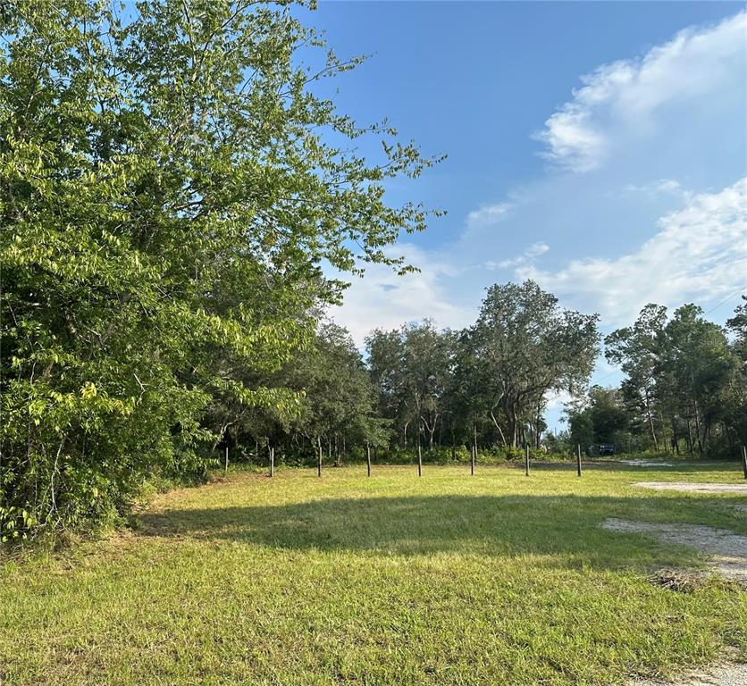 a view of a golf course with a lake