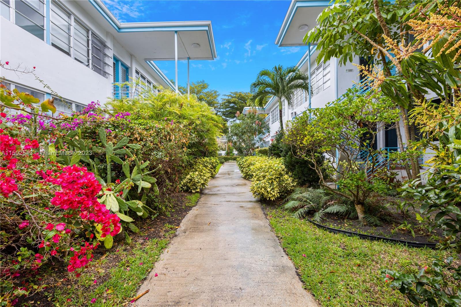 a view of a pathway with flower plants