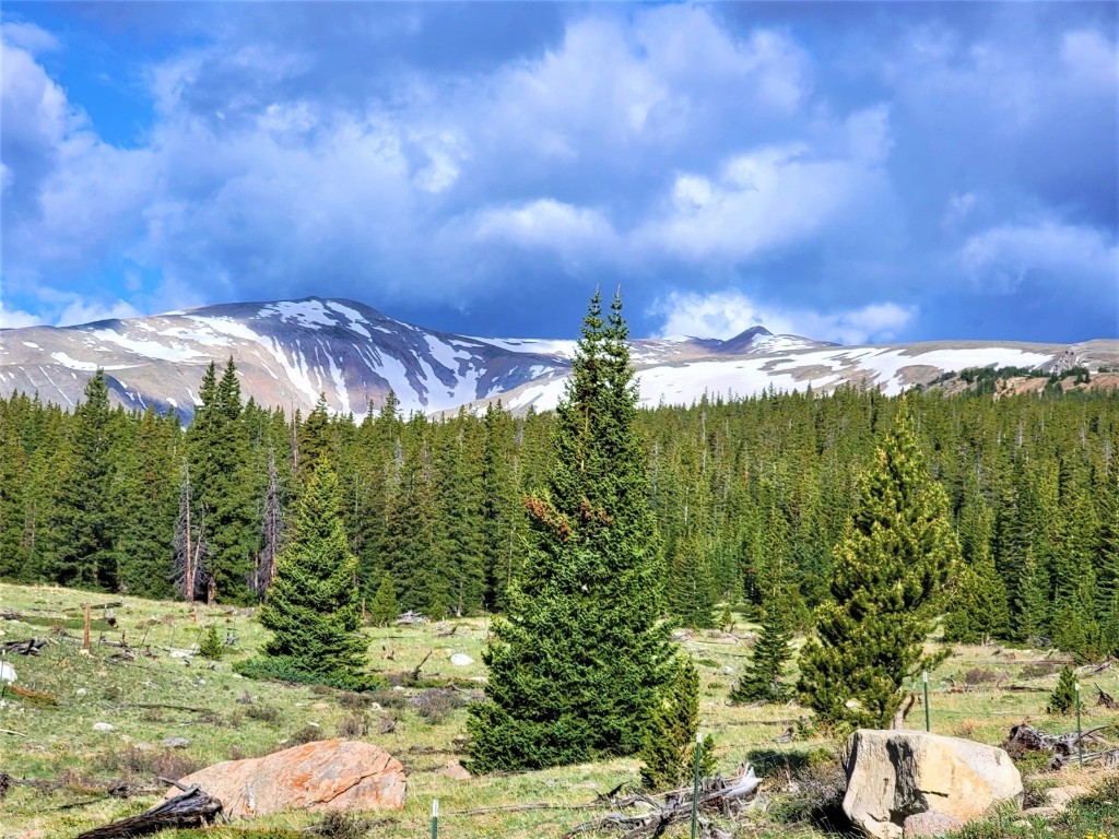 a view of a lake with a mountain in the background