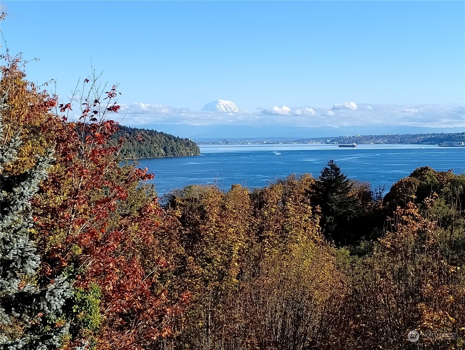 a view of a lake