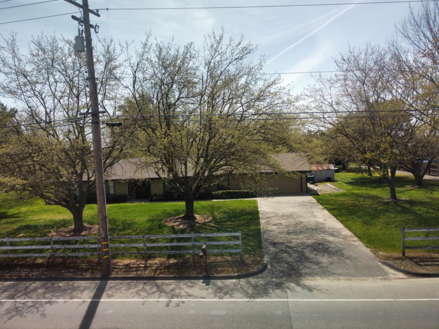 a view of a park with large trees