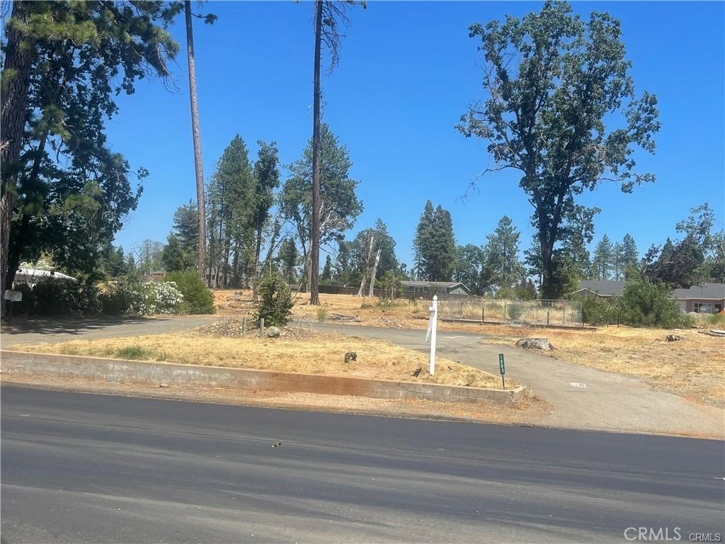 a view of a yard with large trees