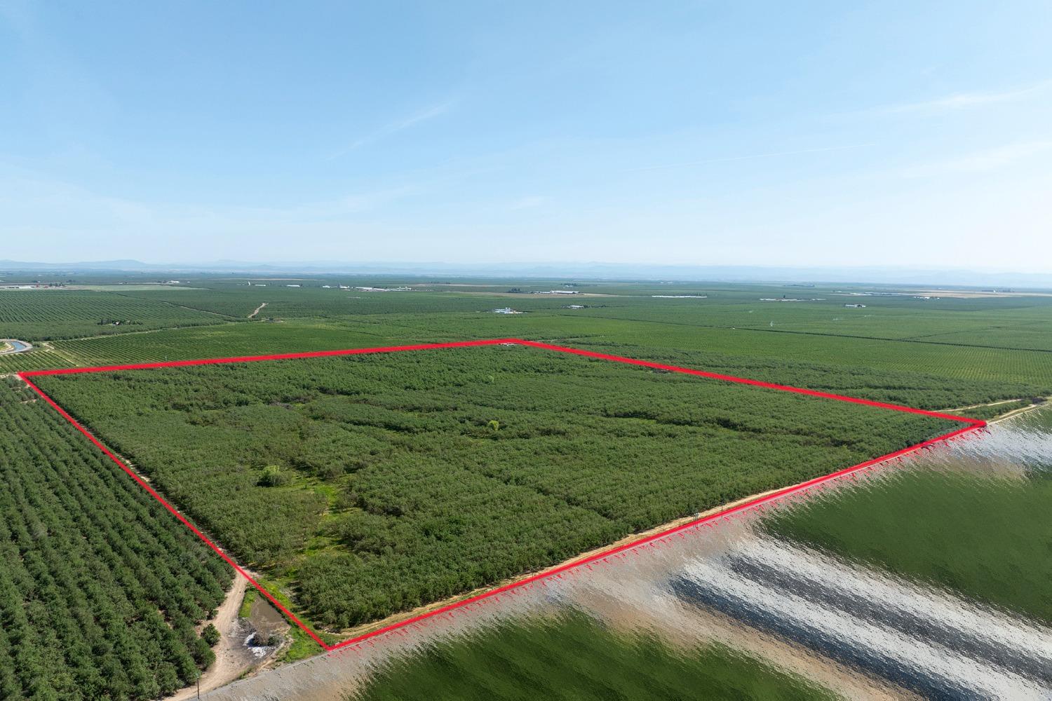 a view of a field with large trees