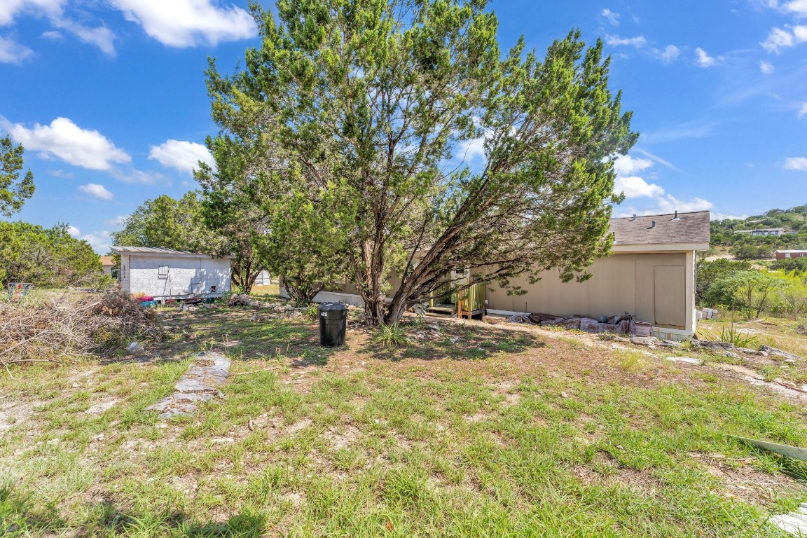 a view of a yard with plants and trees