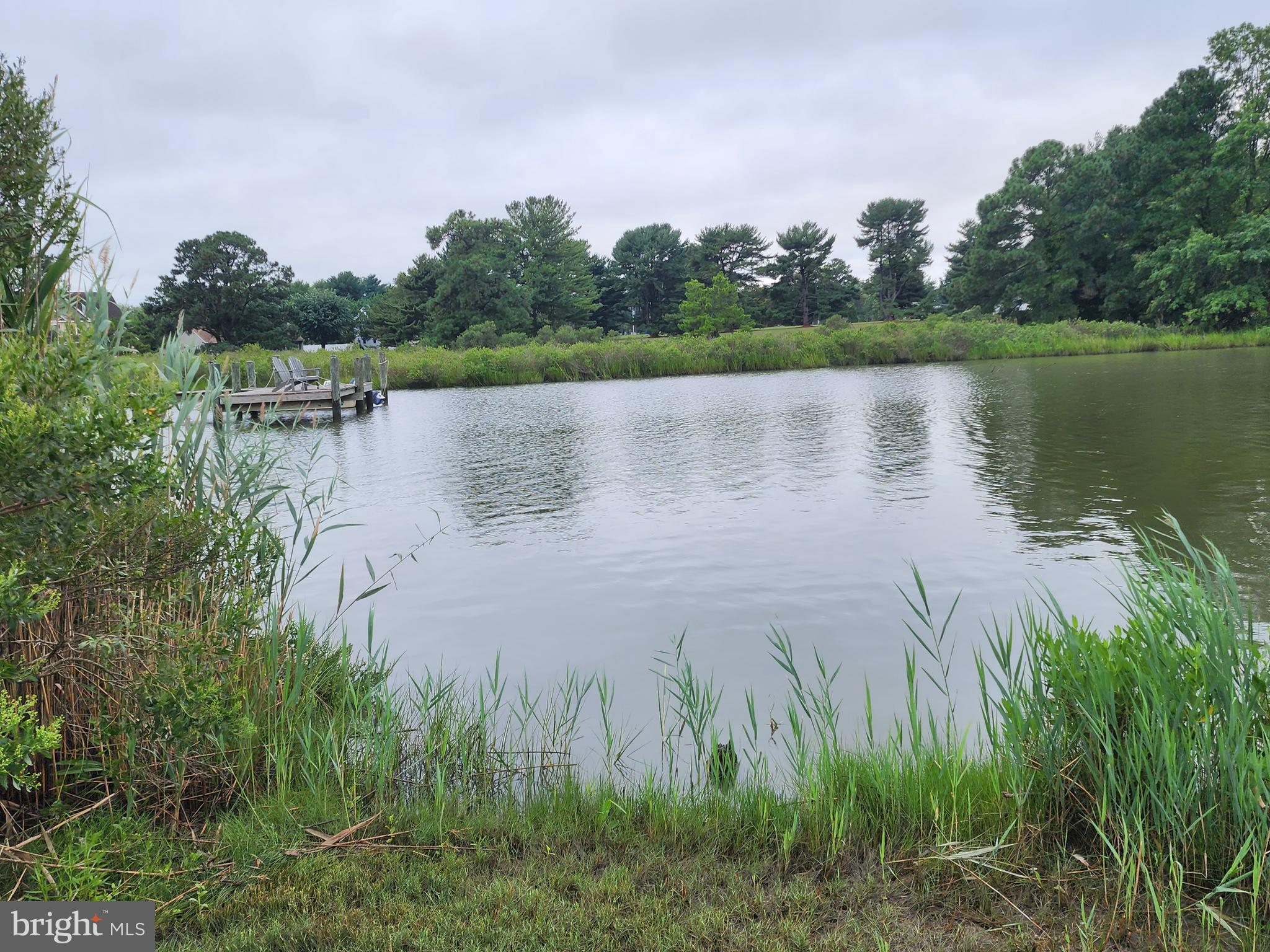 a view of a lake from a yard and large trees