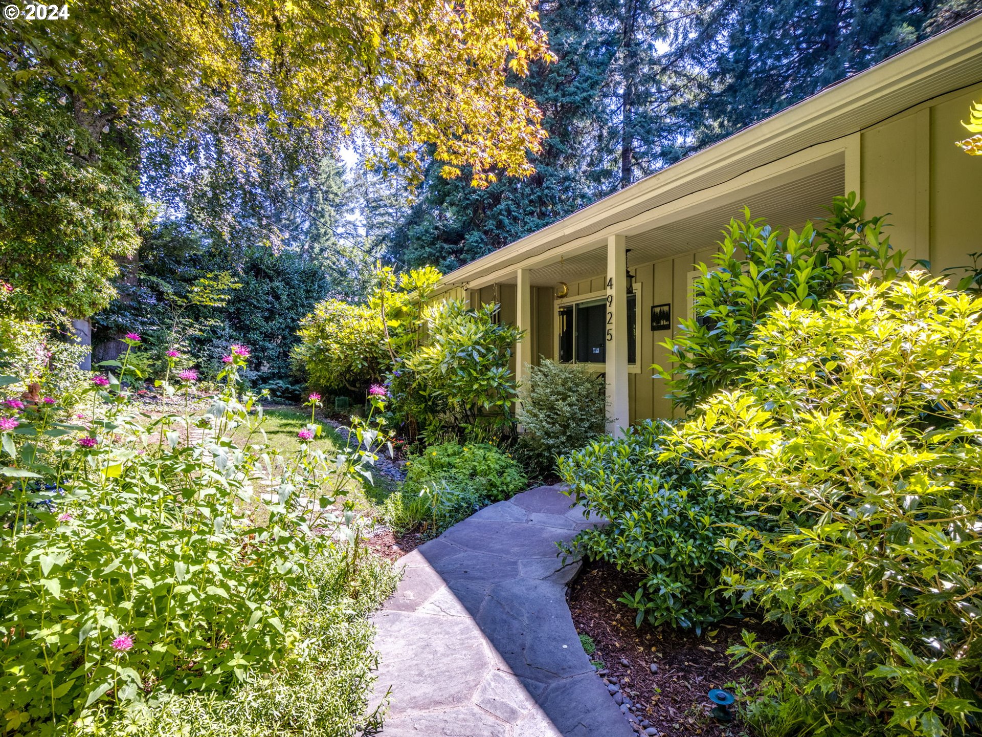 a view of a back yard with yellow and flowers