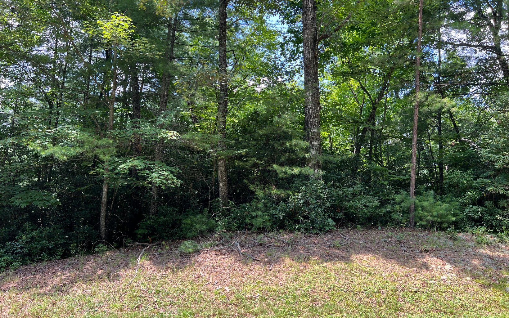 a view of backyard with green space