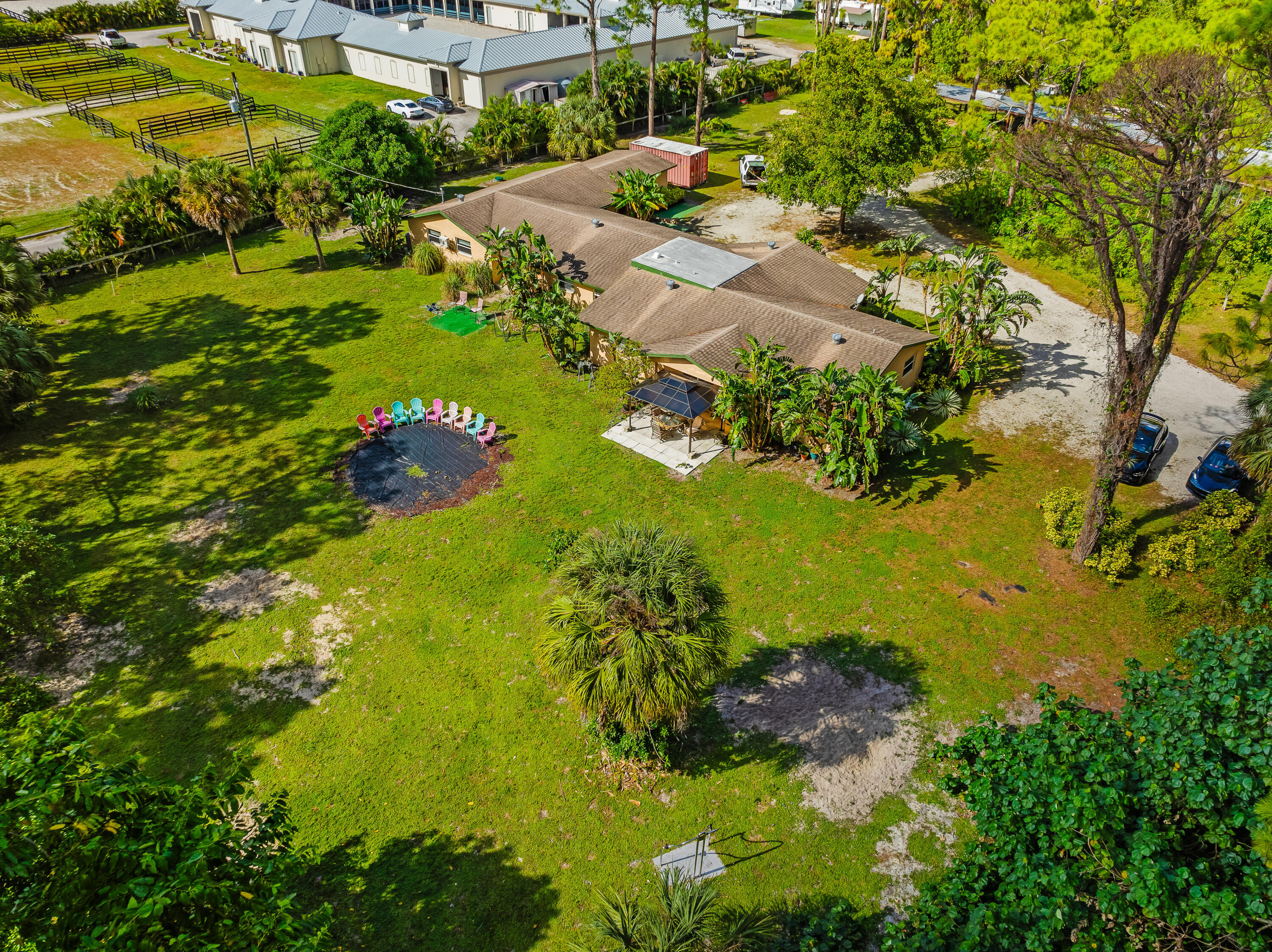 a view of a garden with plants