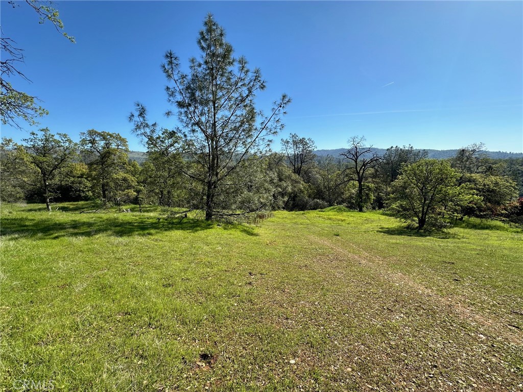 a view of a field with trees in the background