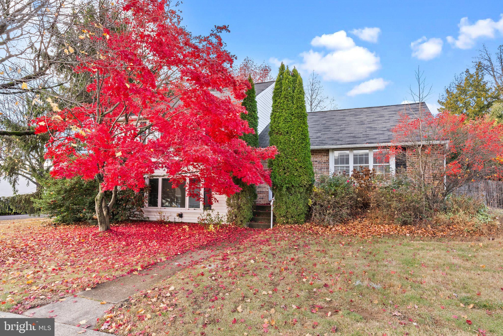 a view of a house with a yard and tree s