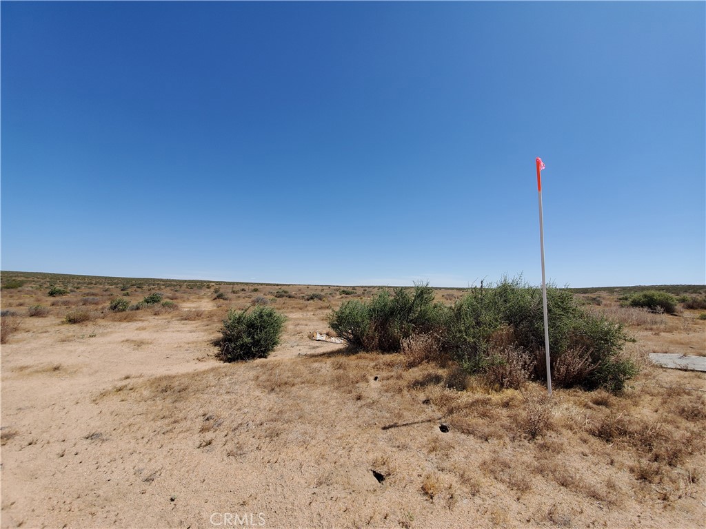 a view of a dry yard