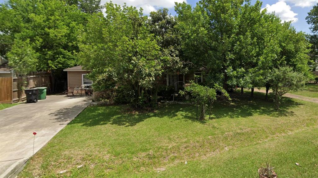 a backyard of a house with yard and tree