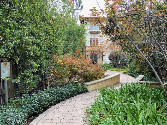 a view of a house with a yard and plants