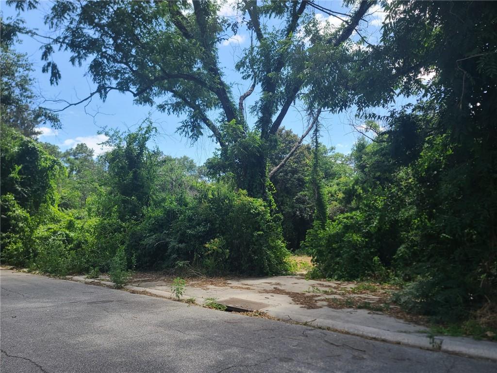 a view of a yard with plants and trees