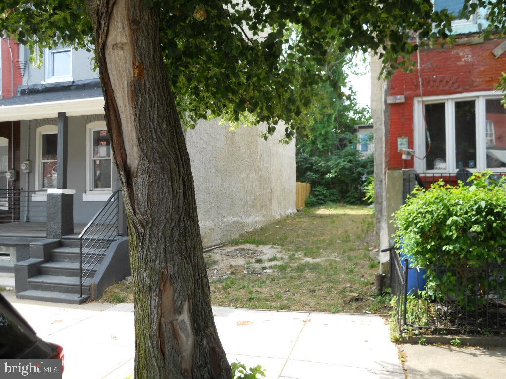 a view of a yard in front of house