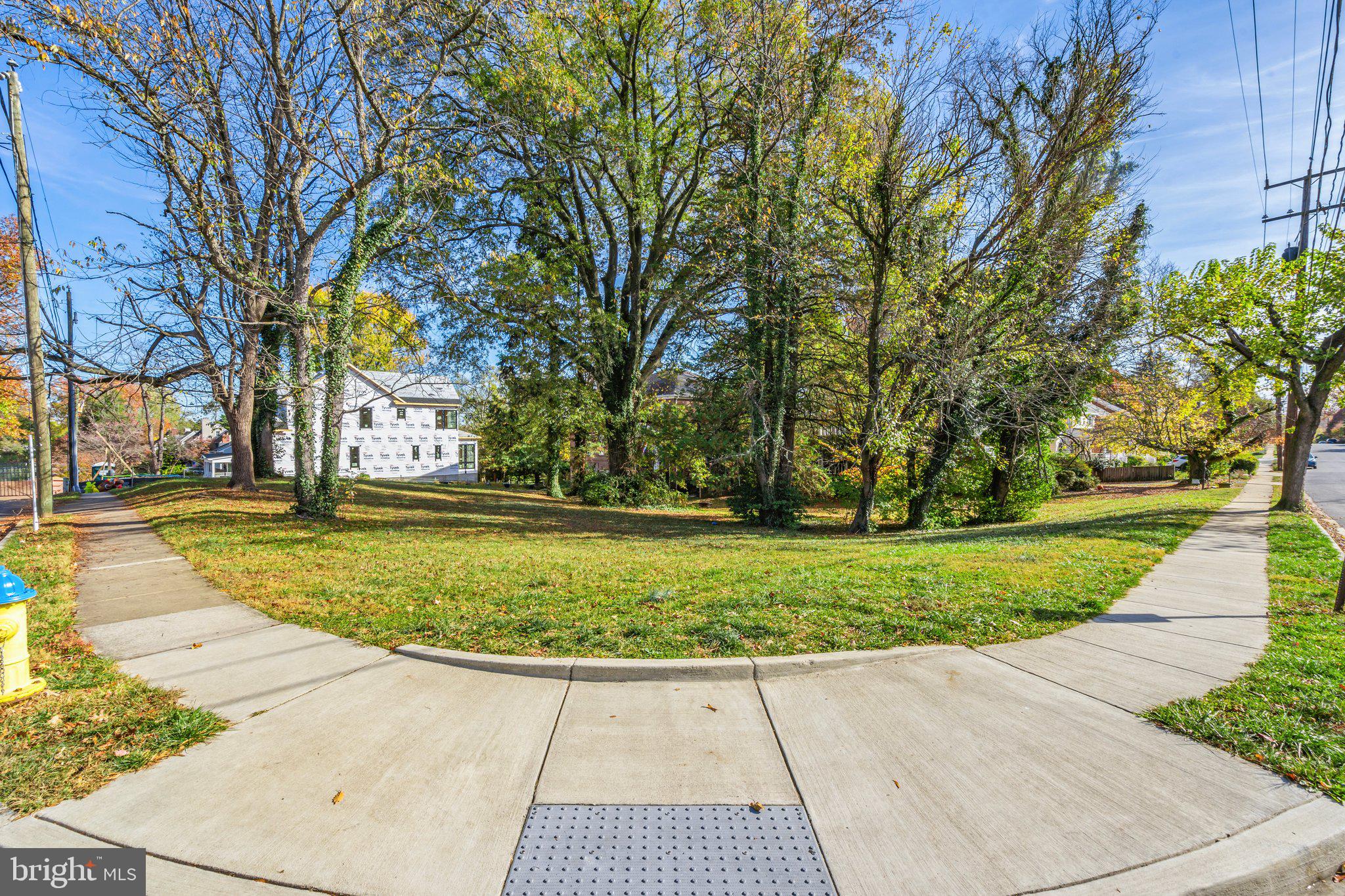 a view of yard with tree s