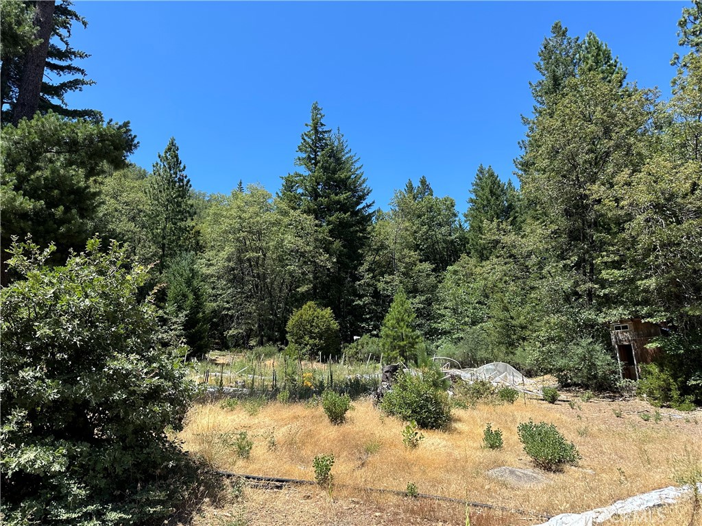 a view of a lake from a yard