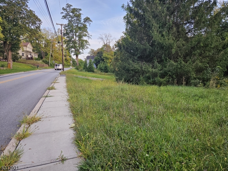 a view of a pathway of a yard