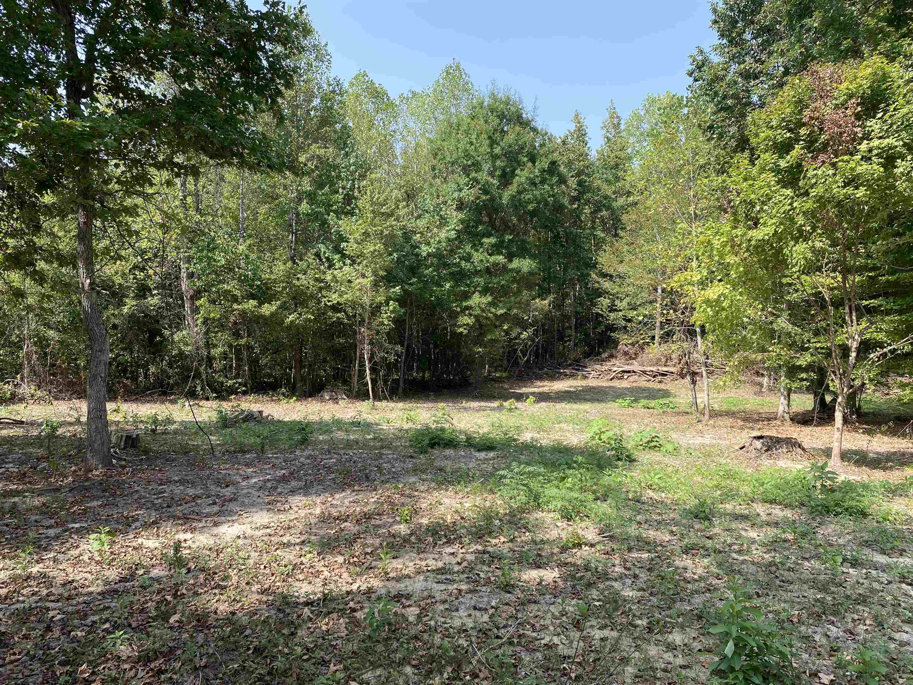 a view of backyard with green space