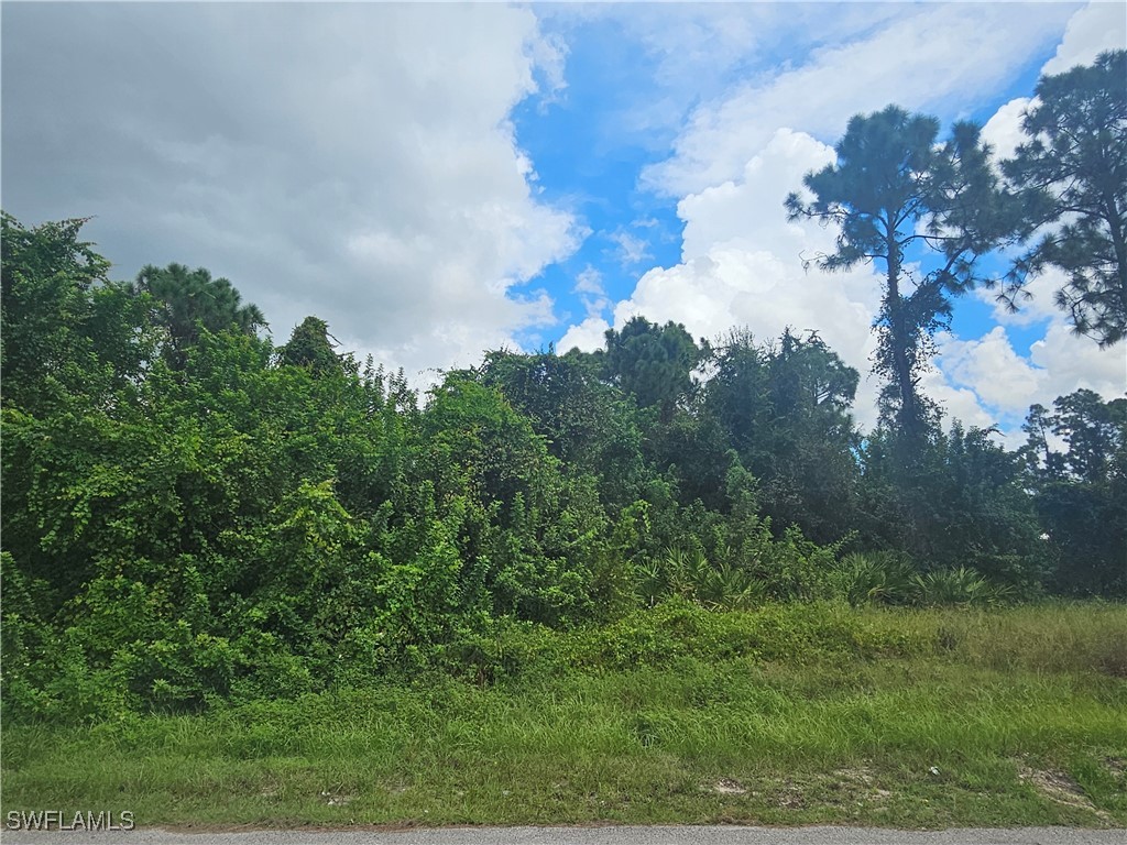 a view of a big yard with lots of green space