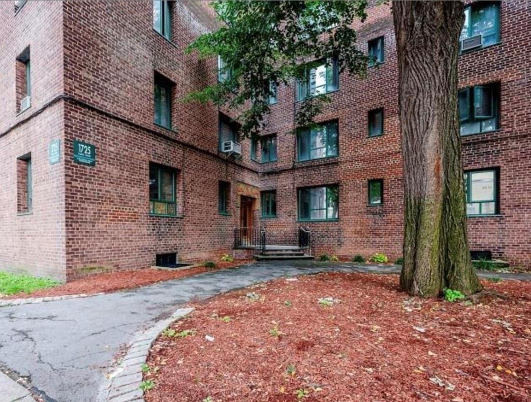 a brick building with a large tree in front