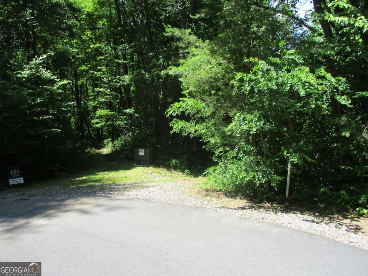 a street view along with trees