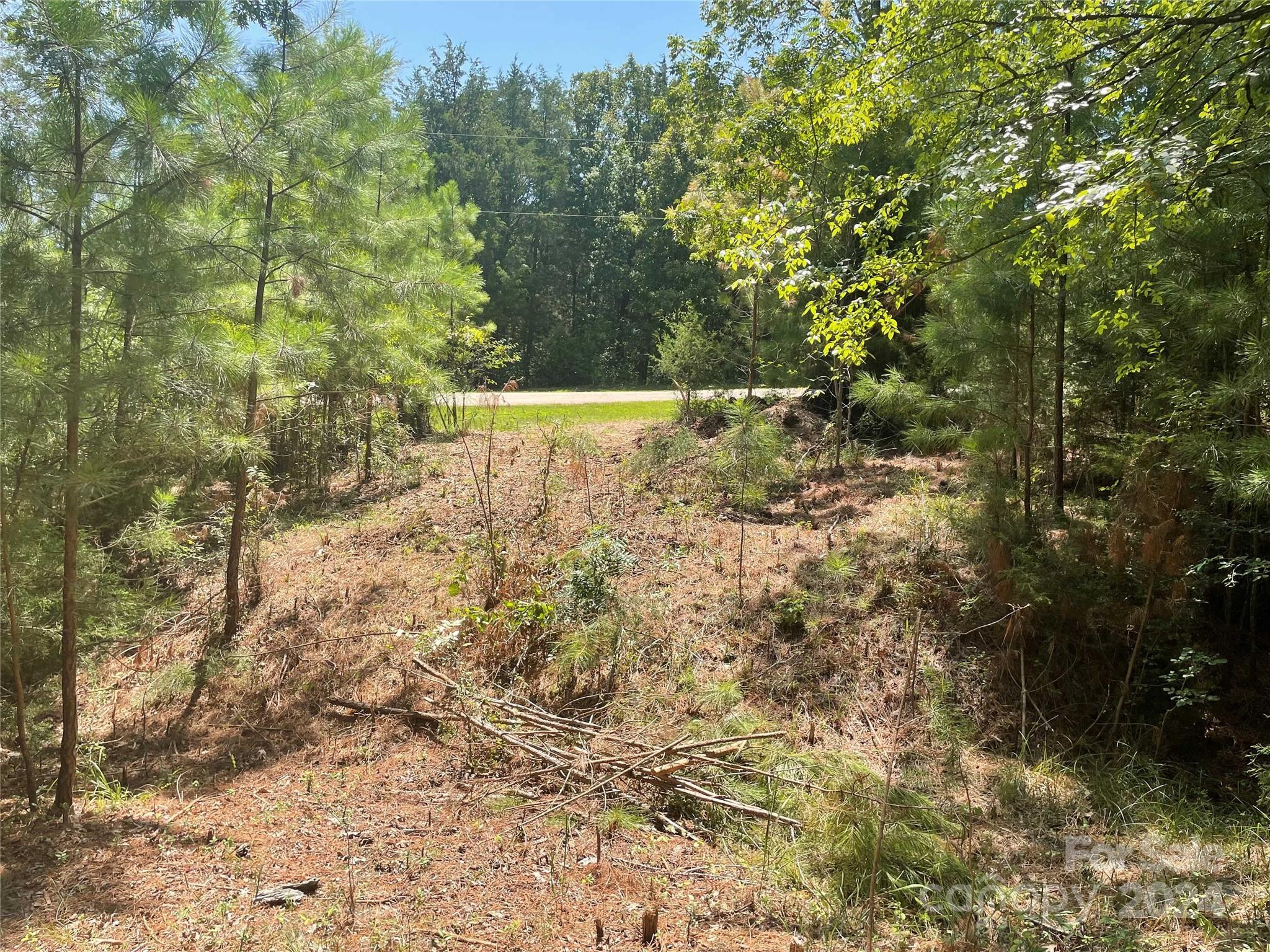 a view of a yard with trees