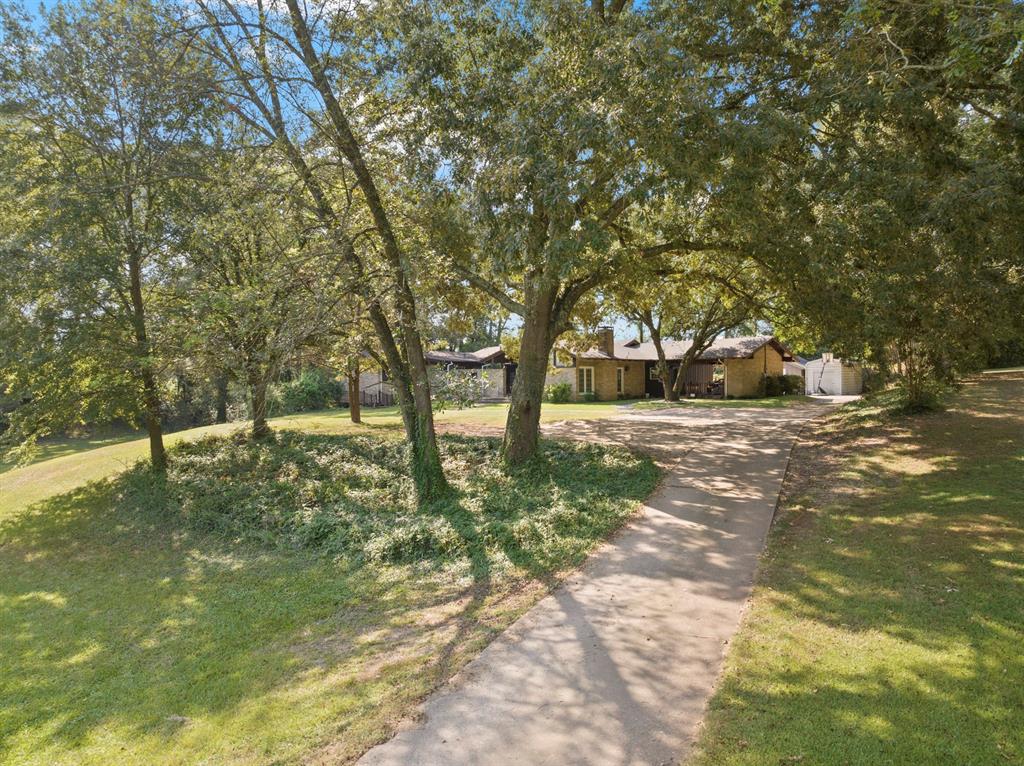 a view of yard with trees