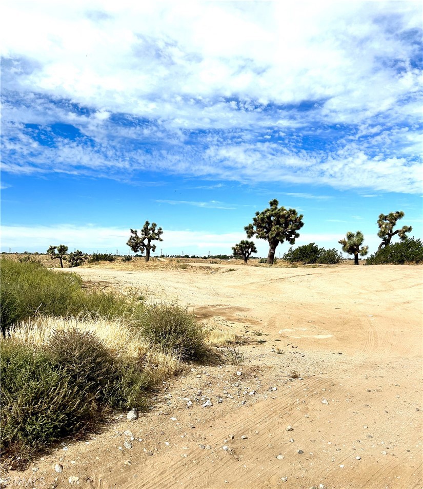 a view of an ocean and beach