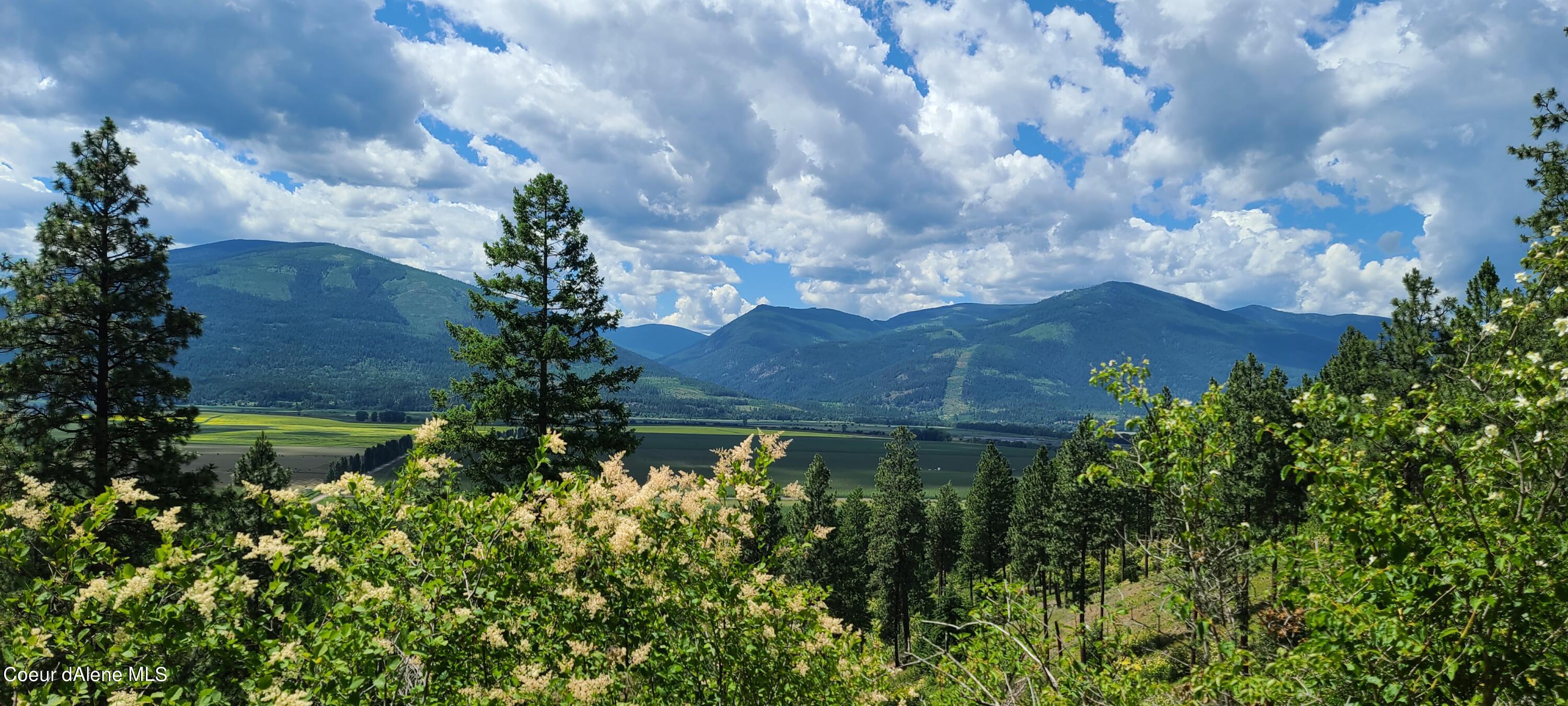 Western View from Homesite