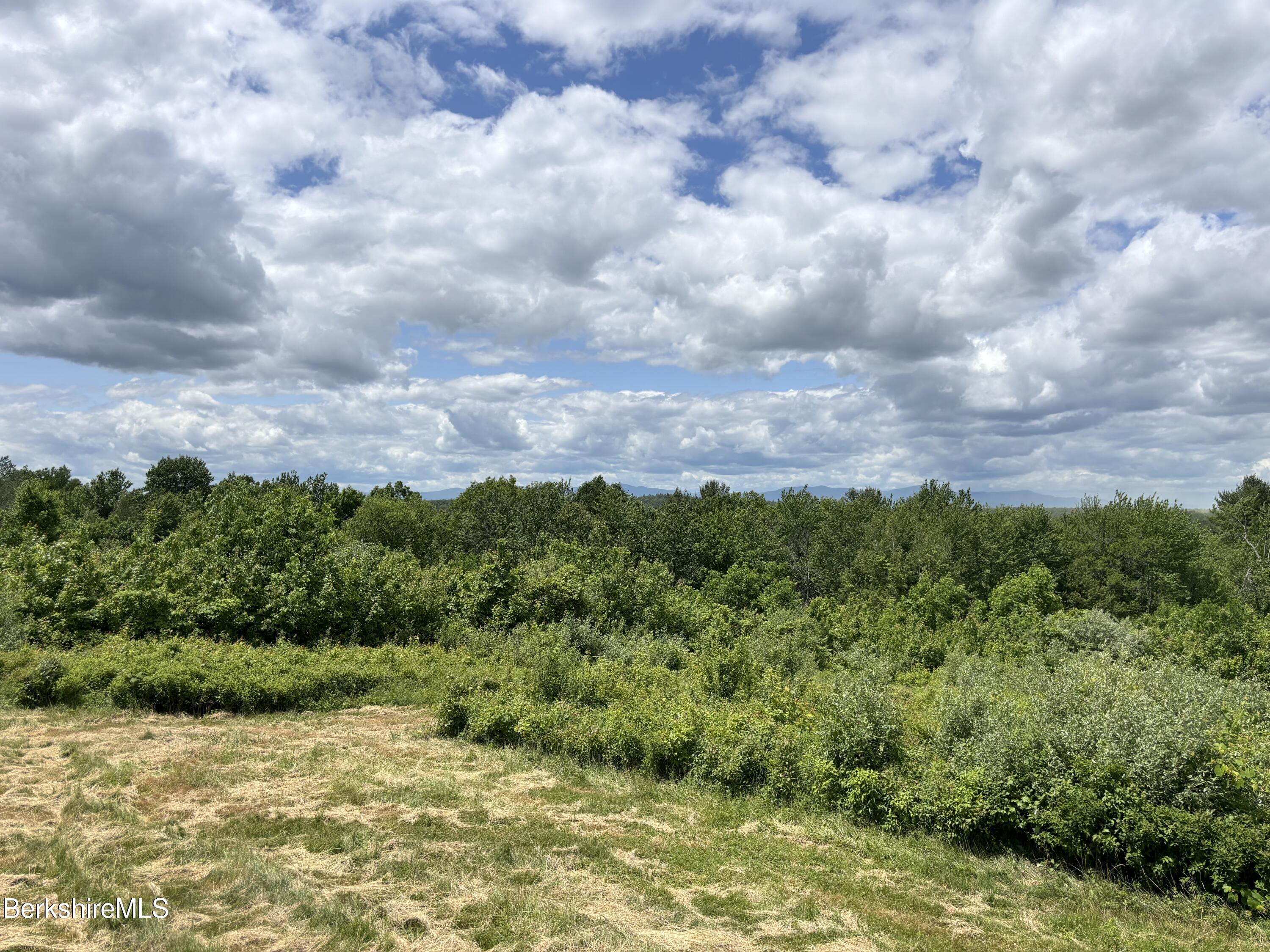 a view of a bunch of trees