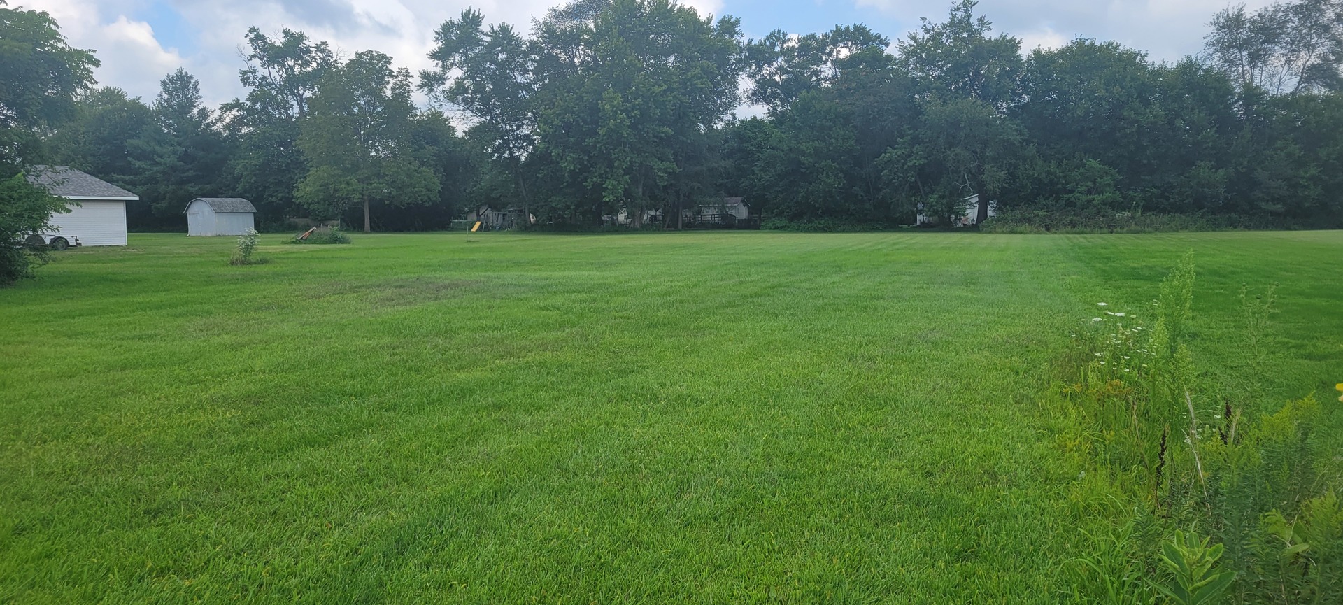 a view of a park with large trees