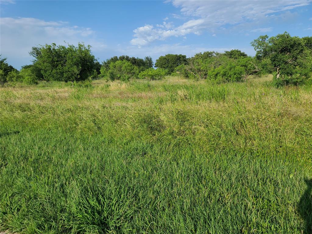 a view of a lush green space