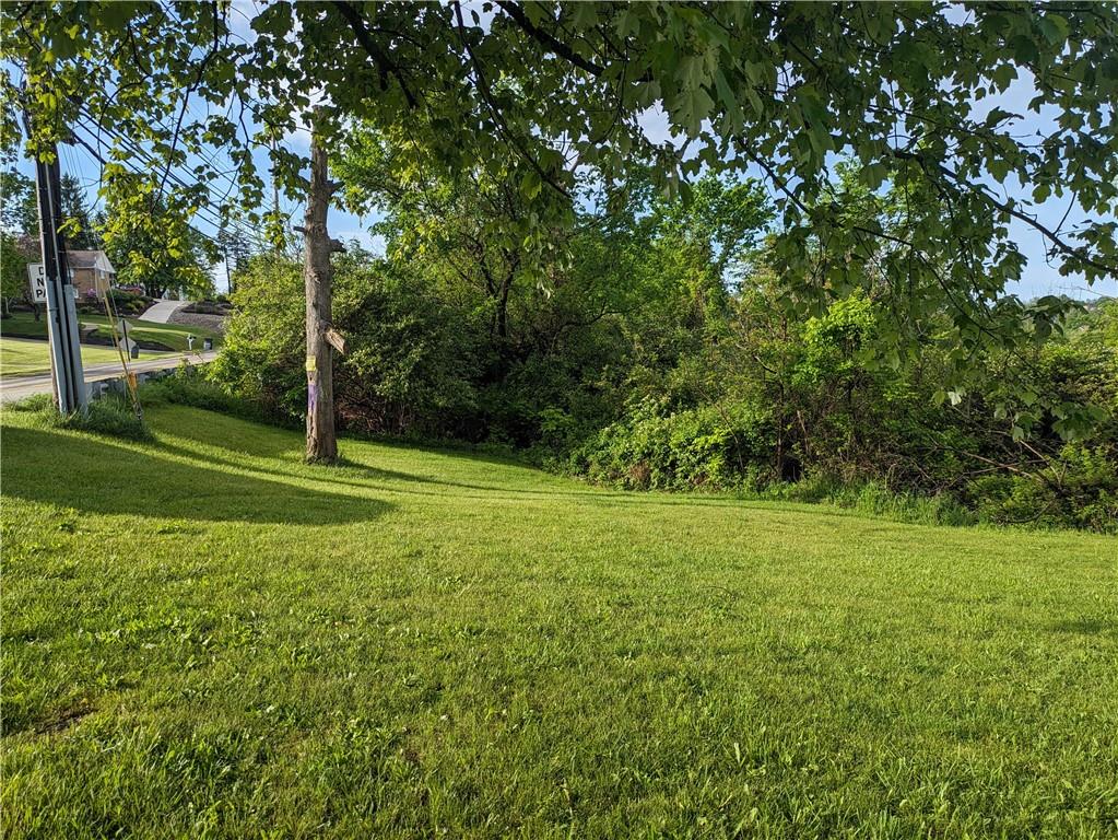 a view of a field of grass and trees