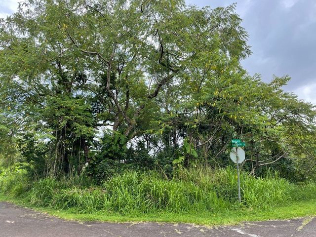 $42,750 | 180 Pahoa Hi 96778 Pahoa Hi 96778 | Kalapana Seaview Estates