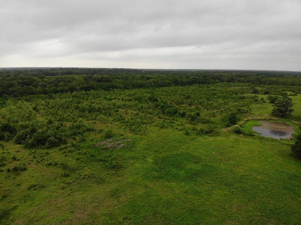 a view of a big yard with lots of green space