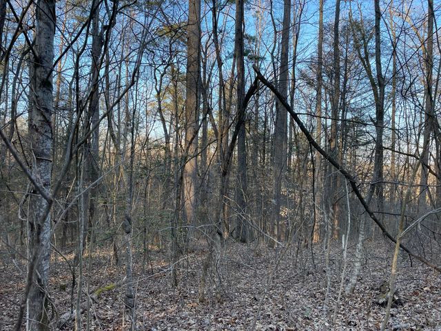 $230,000 | 8-acres Cosby Highway