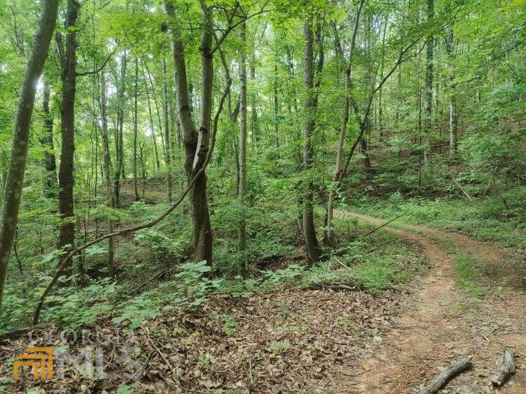 a green field with lots of trees